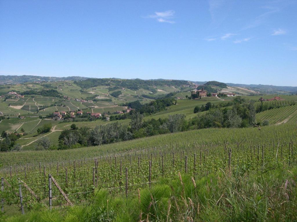 Cascina Ballarin Villa La Morra Exterior photo