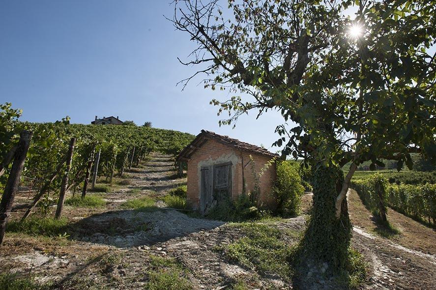 Cascina Ballarin Villa La Morra Exterior photo